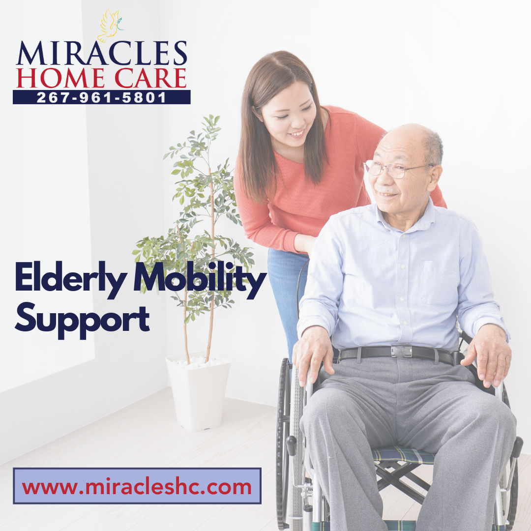 Elderly Mobility Support